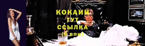 трава Абаза